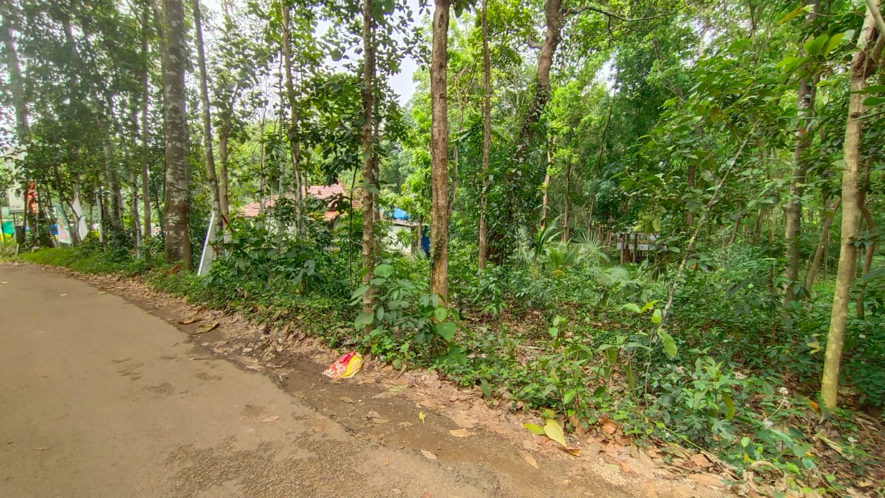 10 Cents of Residential Land - for sale in Ettumanoor Kottayam, Kottayam, Kerala