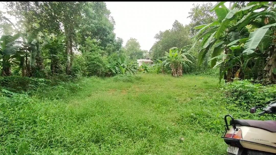 12 Cents of Land - for sale in Ettumanoor, Kottayam, Kerala