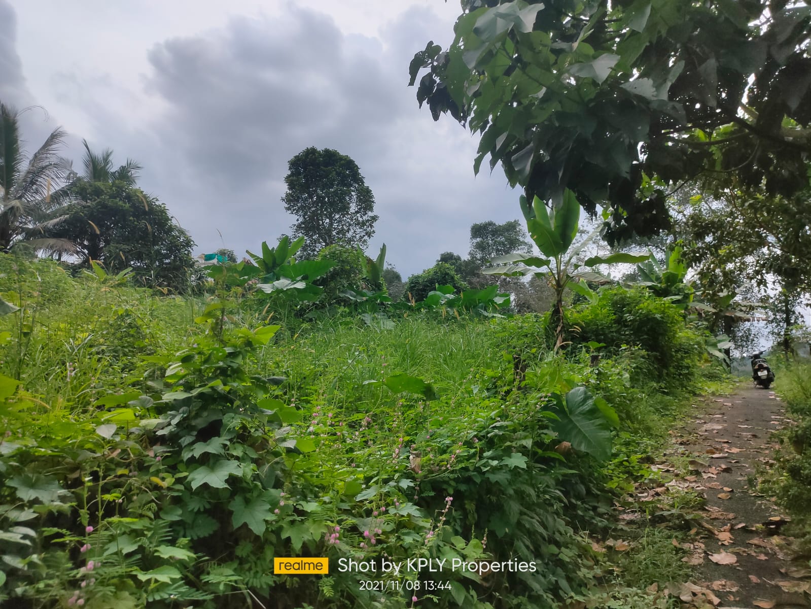 15 Cents of Residential Plot - for sale in Ettumanoor Kottayam, Kottayam, Kerala