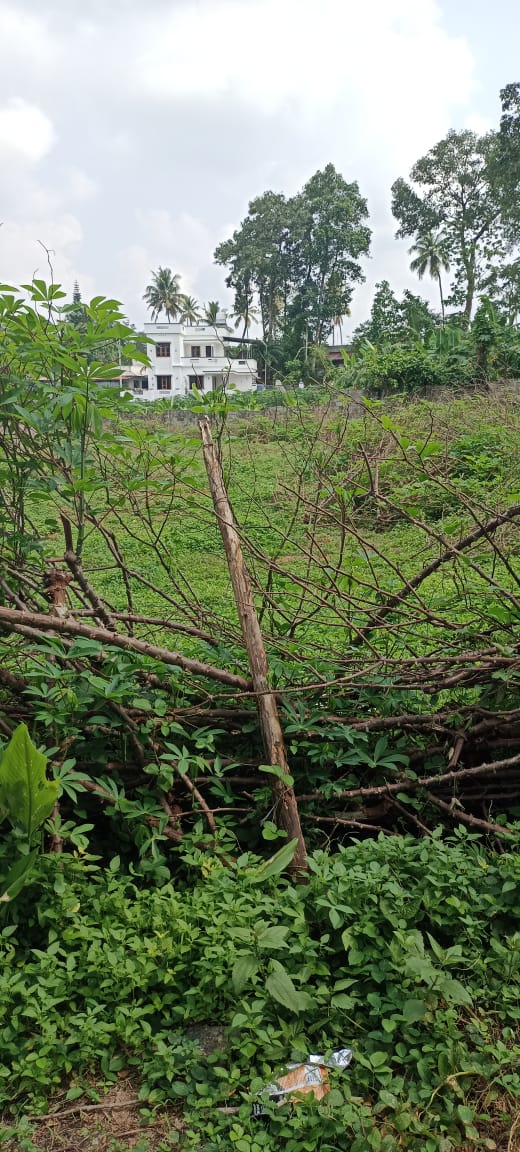 3BHK Semifurnished House 1350sqft Near Udayamperoor