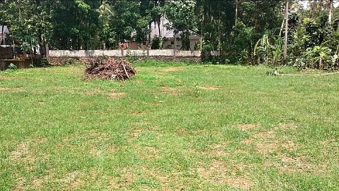 33 Cents of Land