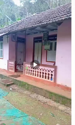 1.25 Acre Cardamom Plantation for ale. - for sale in Bison Valley, Idukki, Kerala