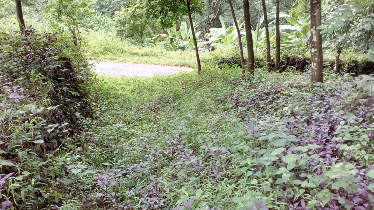 125 Cent land for sale.