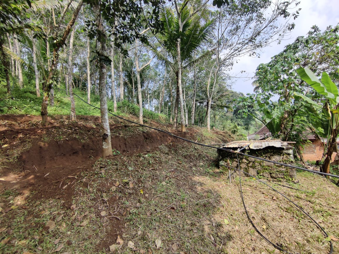 13 Acres of Land