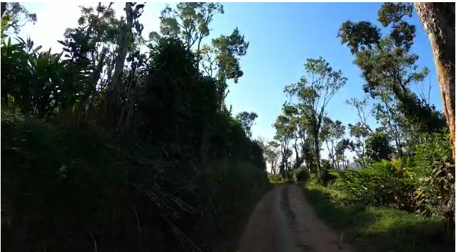 6.6 cents of land with old house