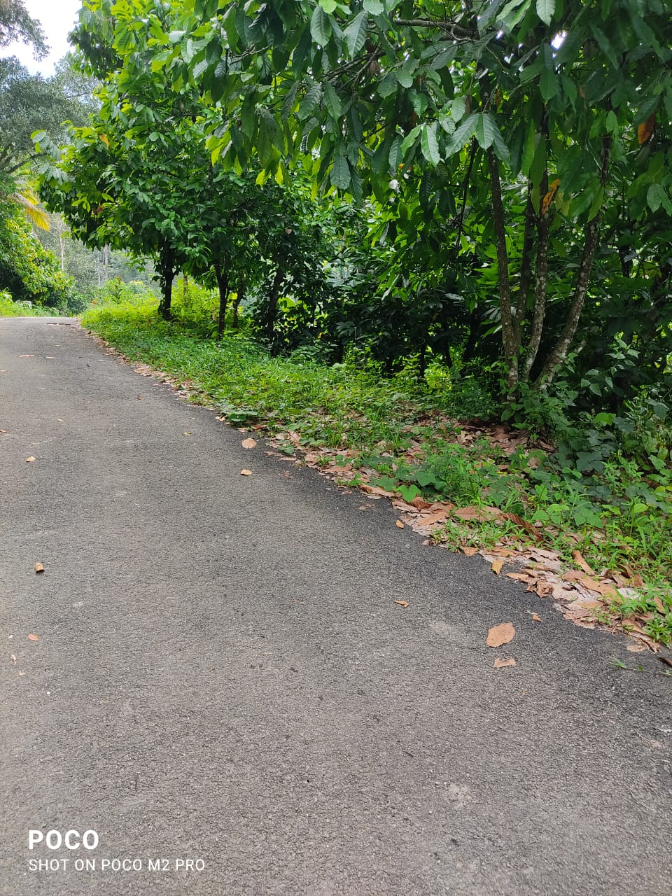 5BHK Brandnew House2350sqft in Navodaya, Kakkanad