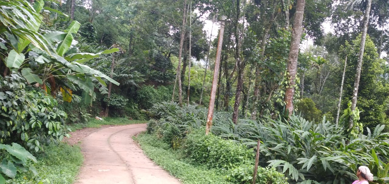 22 cent land near Airport, Nedumbassery
