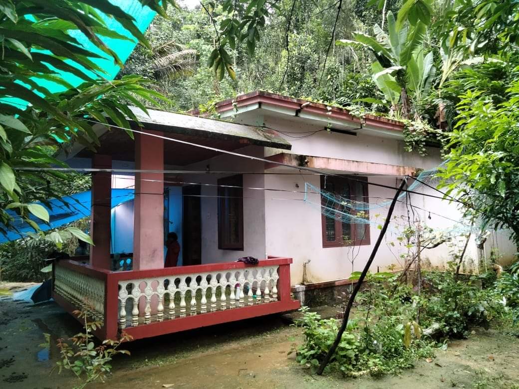 2 Acres of Land with an old house