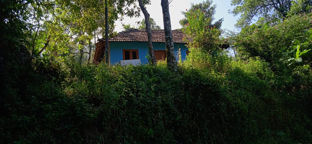 28 Cents of Land - for sale in Kallar, Idukki, Kerala