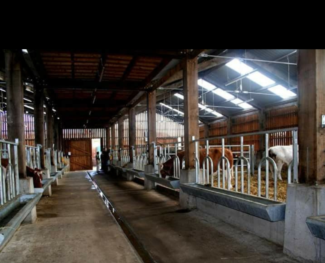 28000 Acres of Land with  Dairy Farm-Tamilnadu Border - for sale in  , Idukki, Kerala