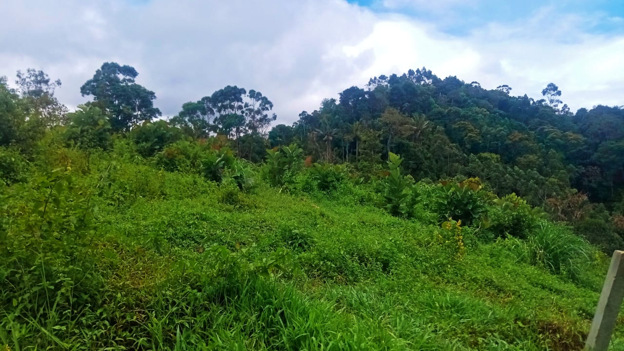 40Cents of Land