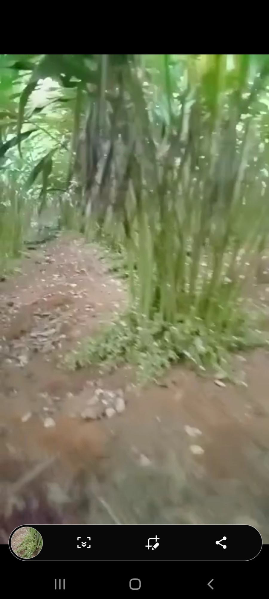 6 Acres of Land