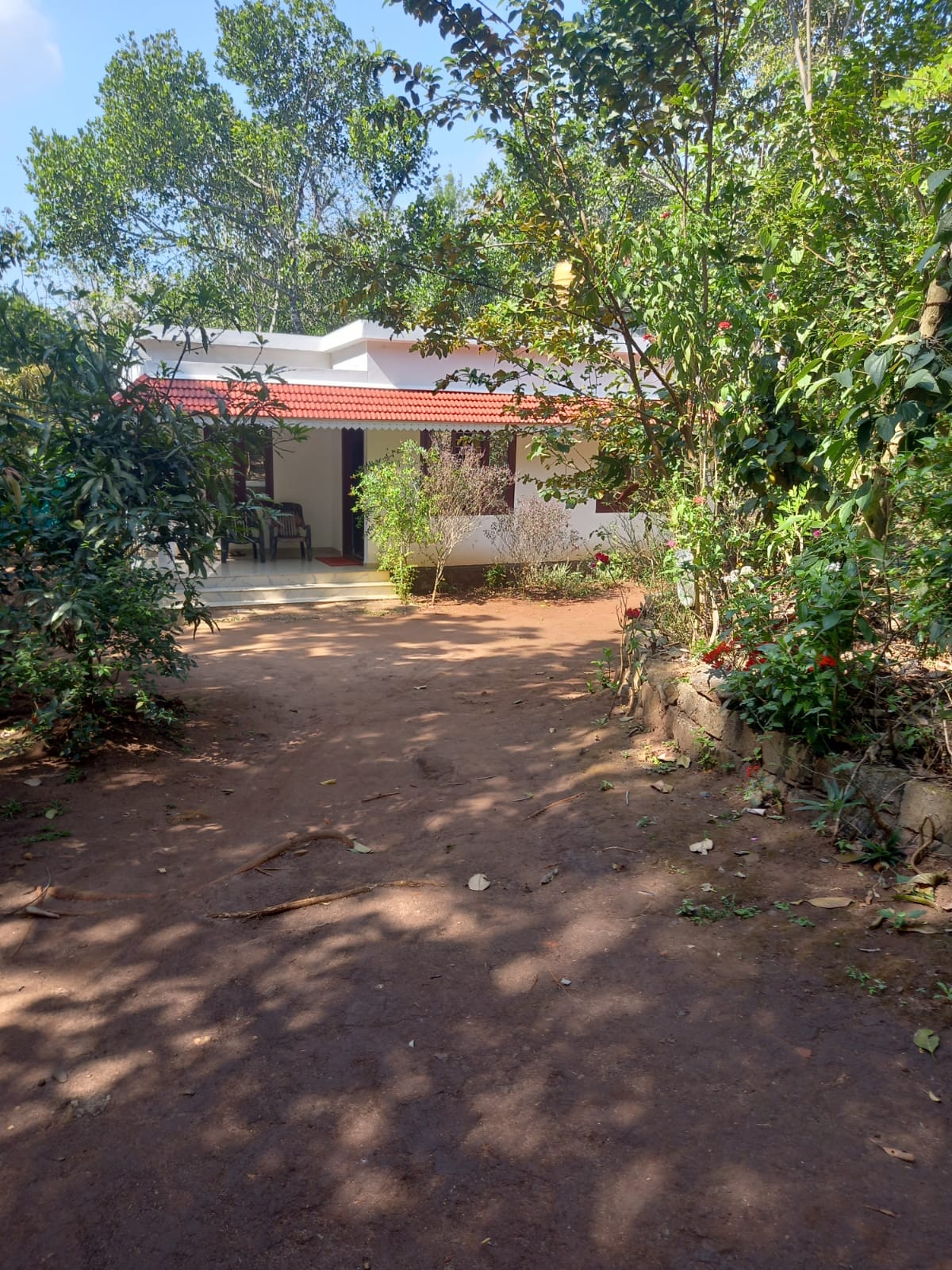 15 cents of Commercial Land in Nedumbassery - for sale in Front Of Coch Airport Nedumbassery, Kochi ( Ernakulam ), Kerala