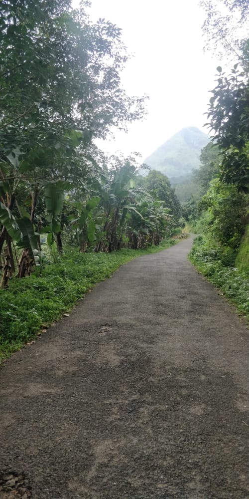 8 Acres - for sale in Teekoy, Kottayam, Kerala