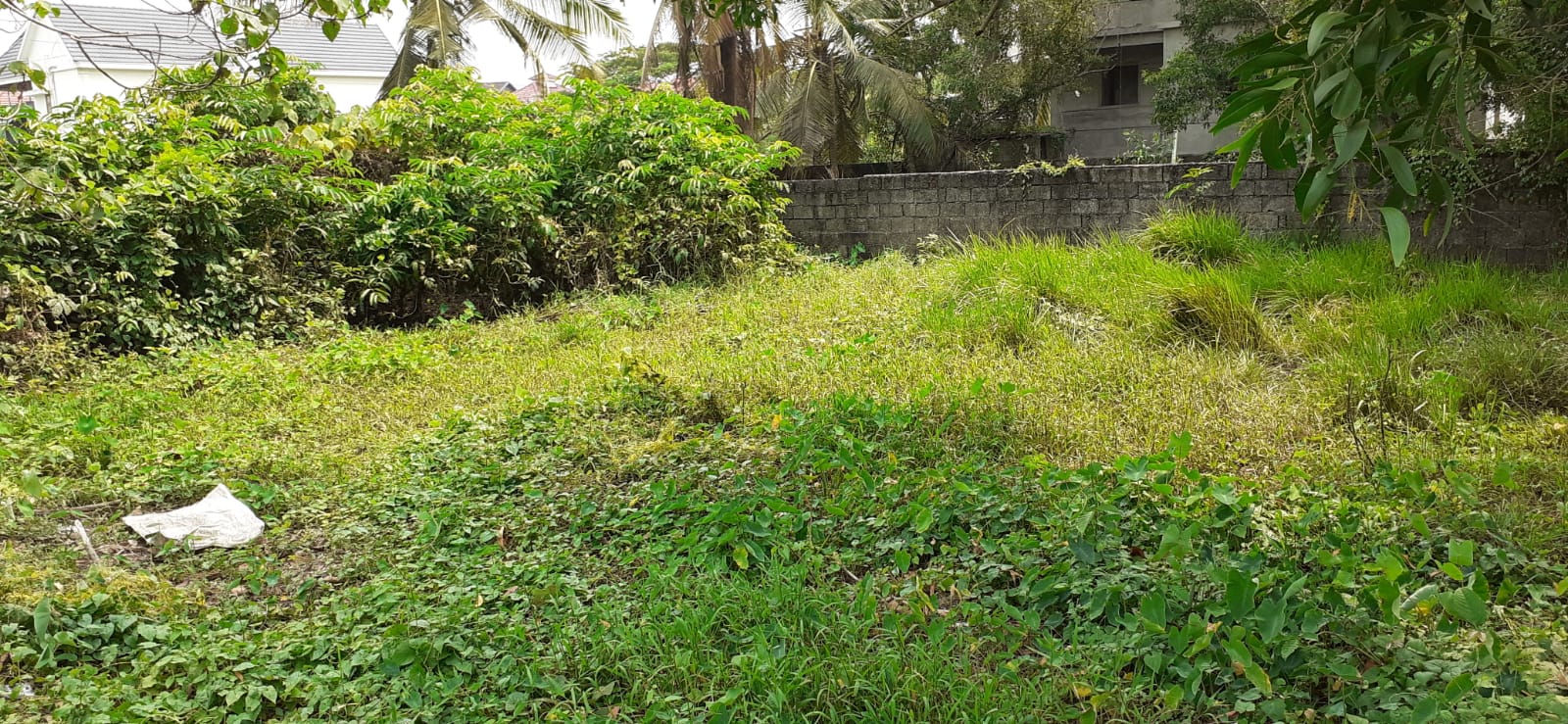2BHK Semifurnished Flat near Collectorate Kottayam, 1030 sqft - for sale in Collectore Kottayam, Kottayam, Kerala
