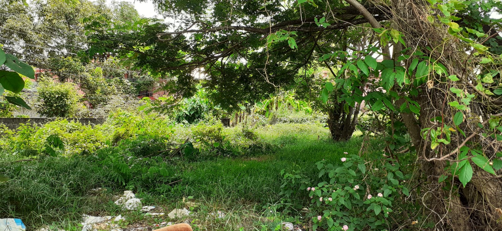 3 BHK Semifurnished Flat in Vennala, Palarivattom, 1380sqft