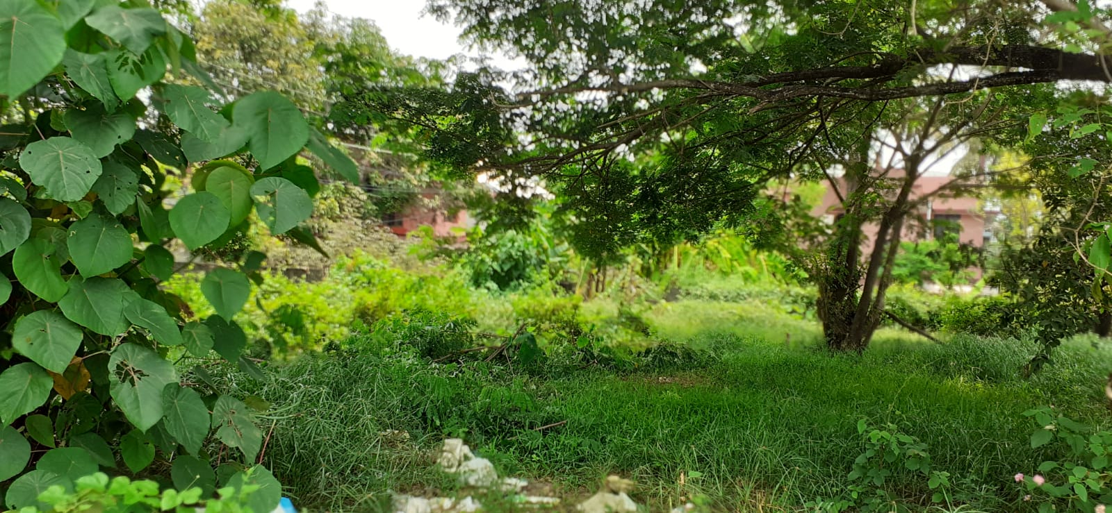 3 BHK Semifurnished Flat in Vennala, Palarivattom,  1380sqft