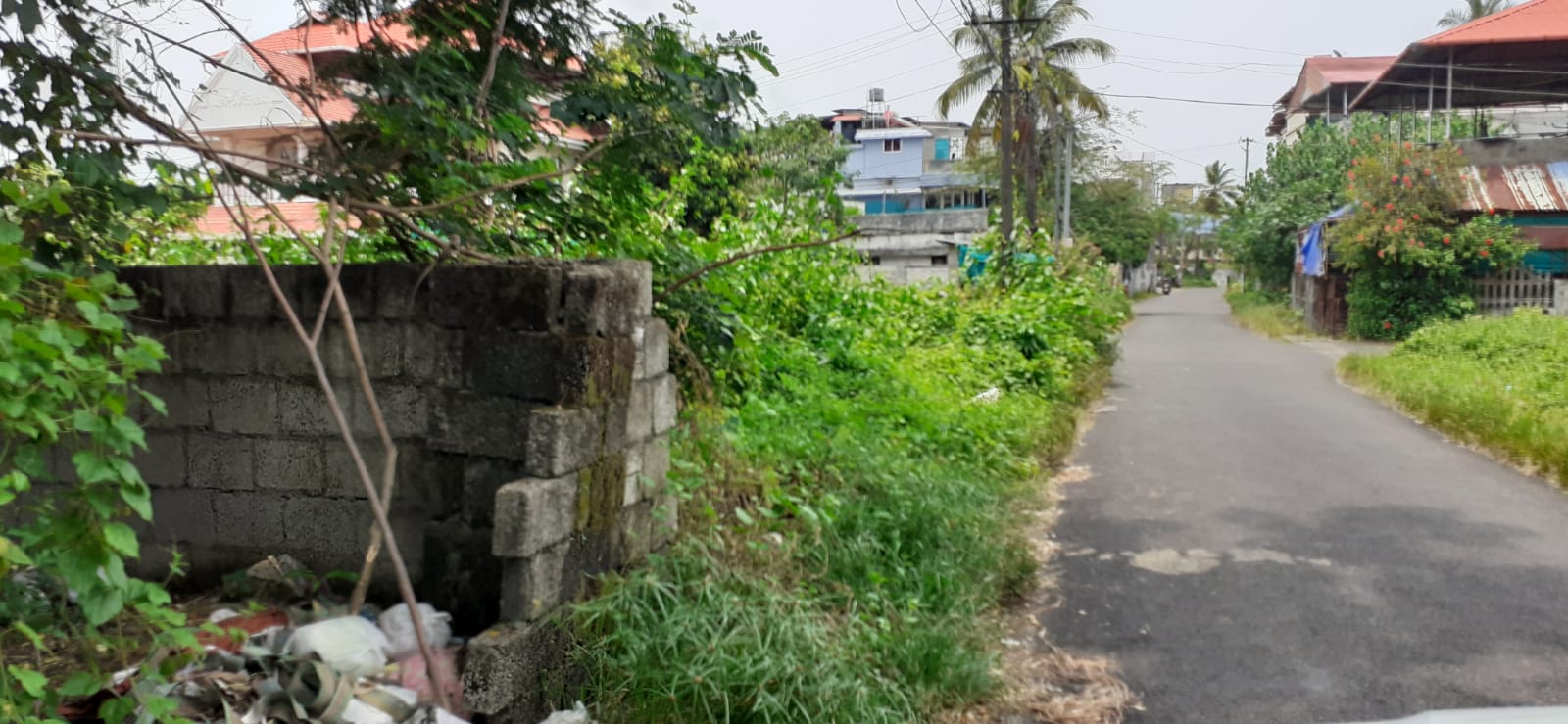 3 BHK Semifurnished Flat in Vennala, Palarivattom,  1380sqft