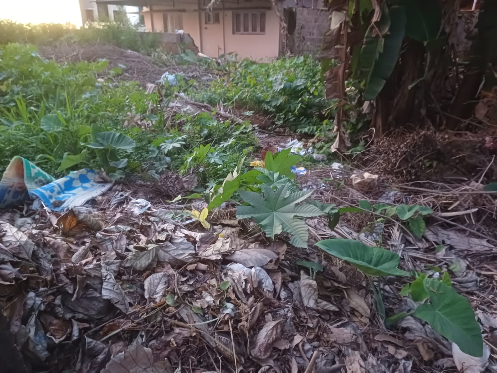 10 cents of residential / commercial land