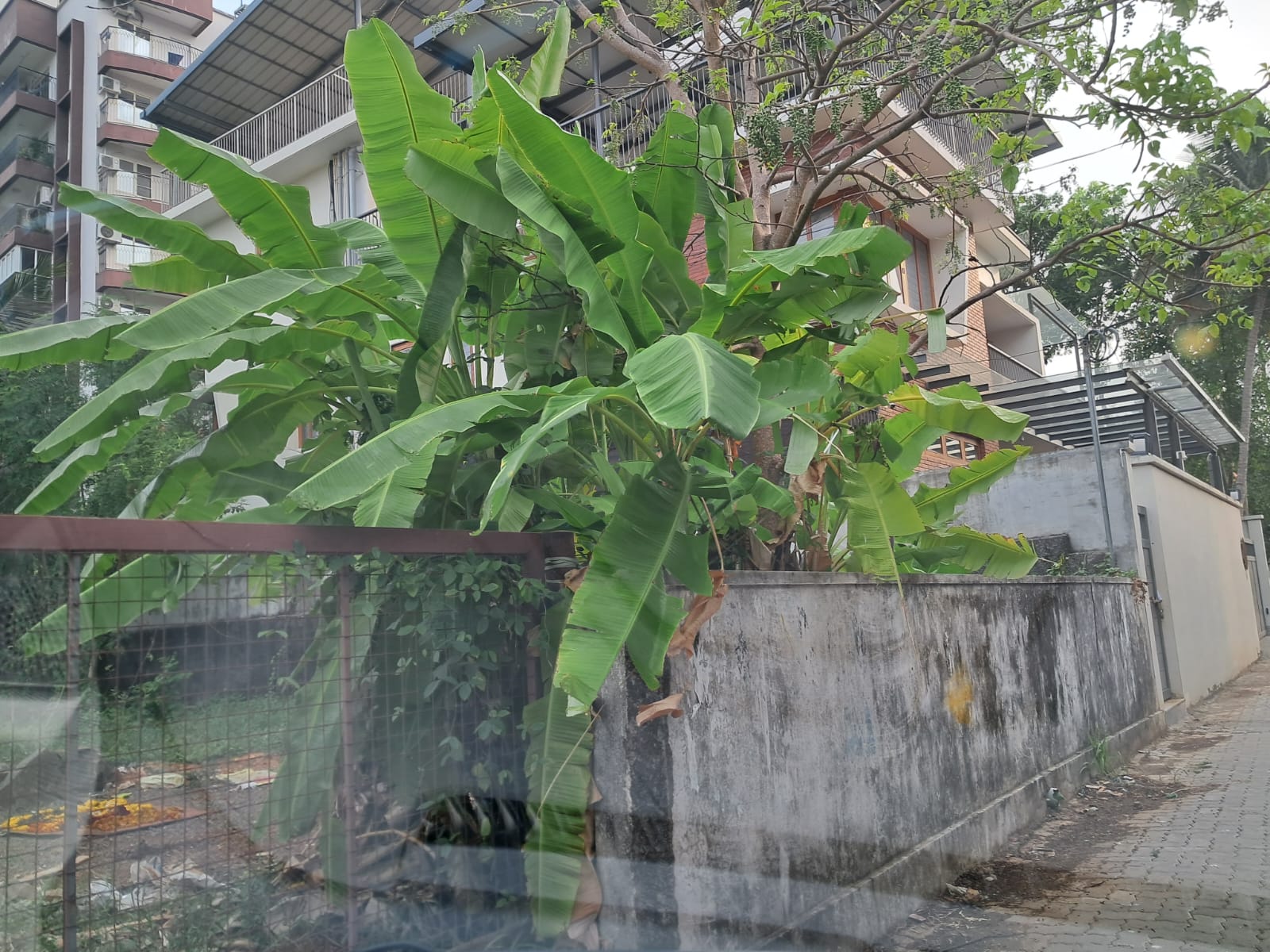 10 Cents of Residential Plot