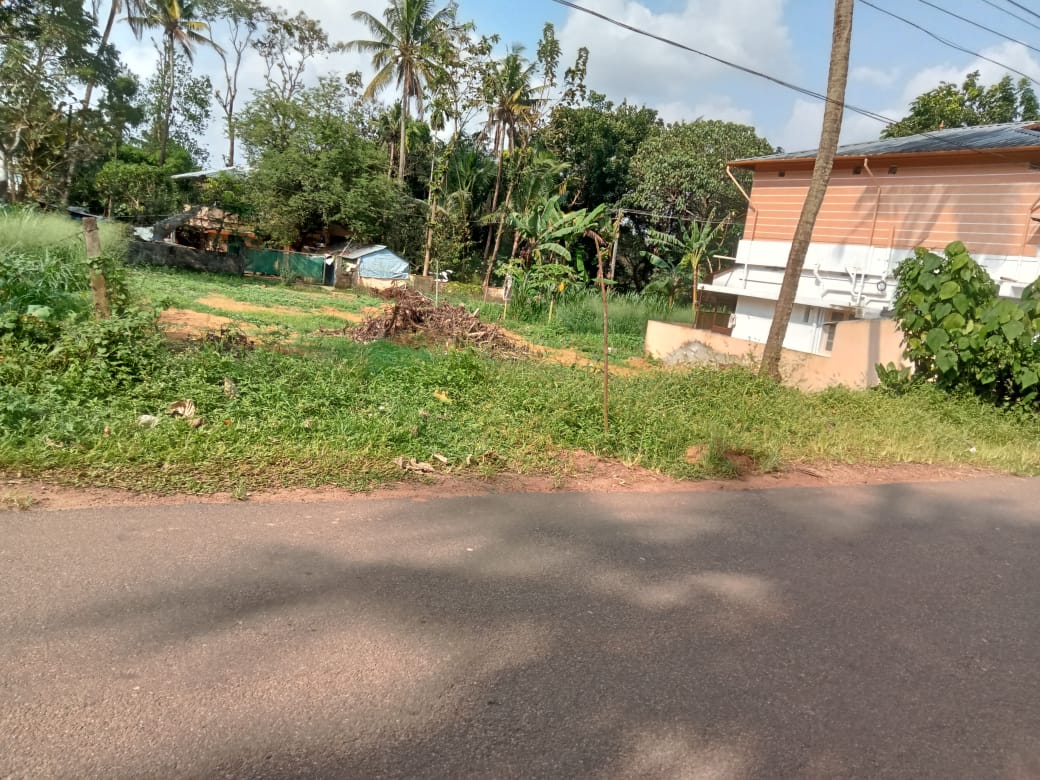 80 cent of property in Pallikkara