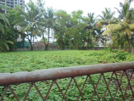 11 cents of land