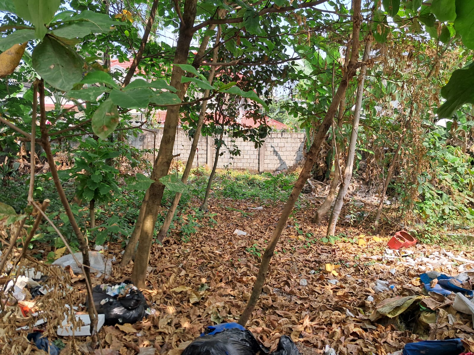 12.50cents of Commercial/ Residential property in Kadavanthra - for sale in Kadavanthra, Kochi ( Ernakulam ), Kerala