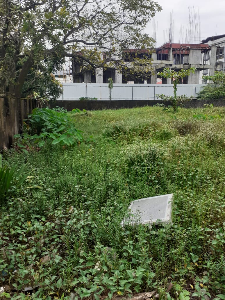 12 Cents of Land
