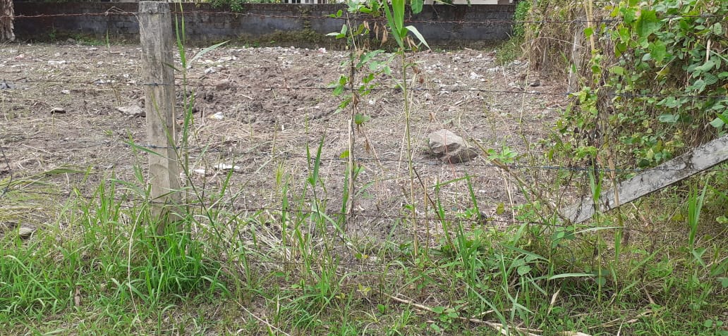 15 cents of Prime residential/ commercial property with an old Bunglow in Palarivattom