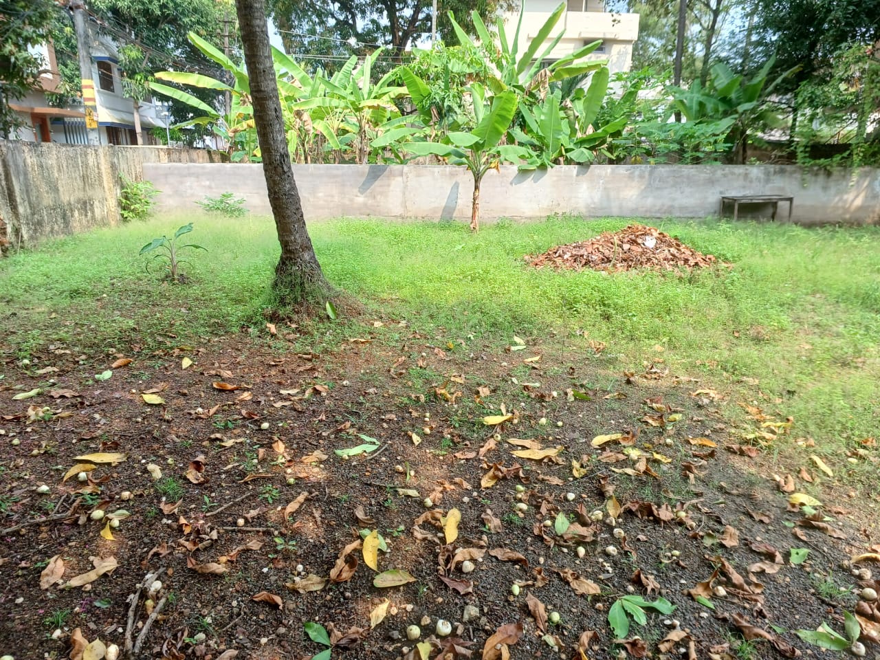 14Cent Commercial Land in Kadavanthra
