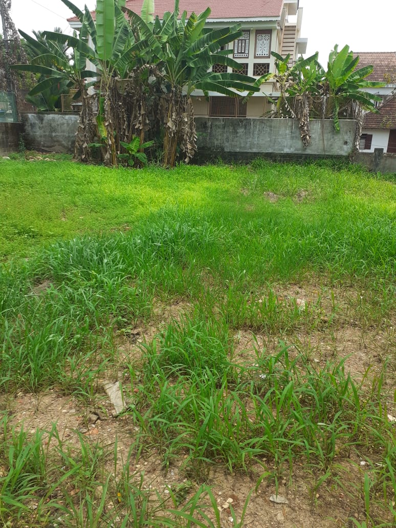 4 BHK Fully Furnished House with 5cent  2800 sqft, - for sale in Maradu, Kochi ( Ernakulam ), Kerala