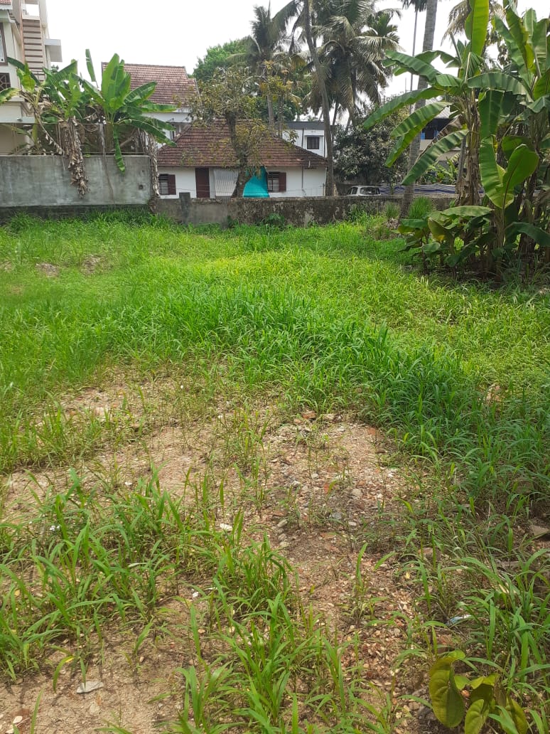 4 BHK Fully Furnished House with 5cent 2800 sqft,
