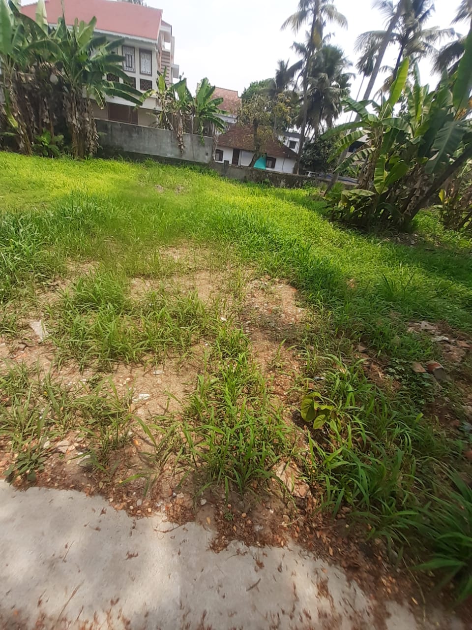 4 BHK Fully Furnished House with 5cent 2800 sqft,