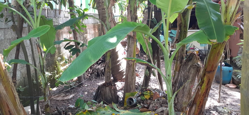 8.400cents of Residential plot in Kadayirippu, Kolenchery