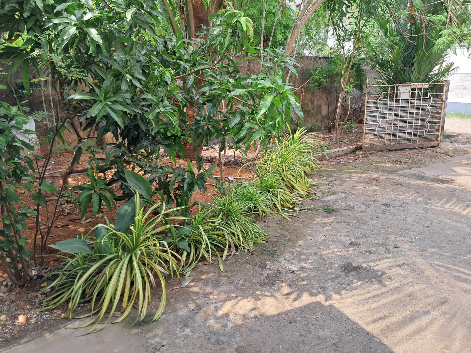3.5 cent of Residential/Commercial Plot in Kadavanthra