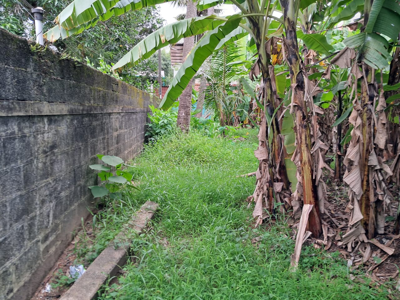 3 cent Residential Plot