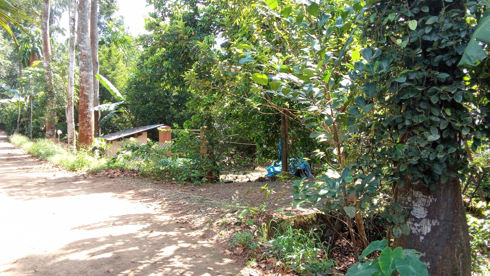 4.850 cents of Residential Plot in Kadavanthra