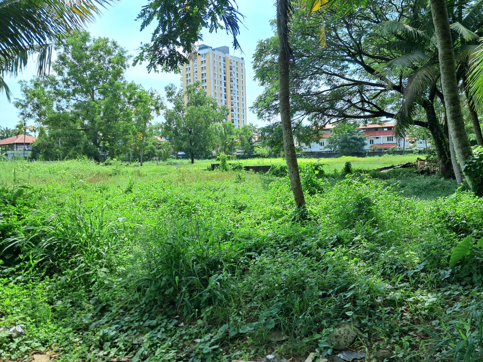 5.5 cent of Residential plot