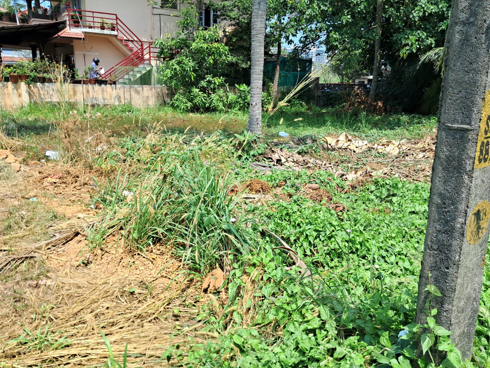 5.50 to 18 Cents of Residential Plots near Elamkulam, Kadavanthra