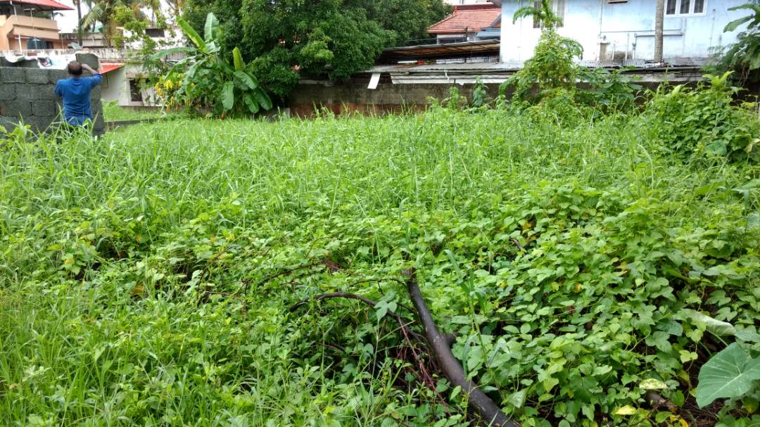 5cents of land