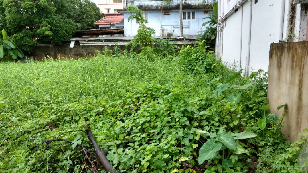 5cents of land