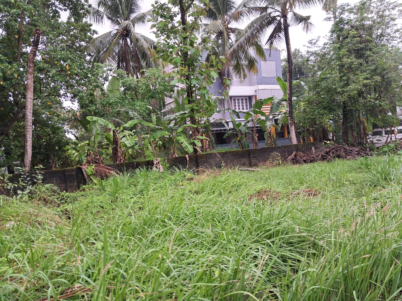 6.400 cents of Residential Plot