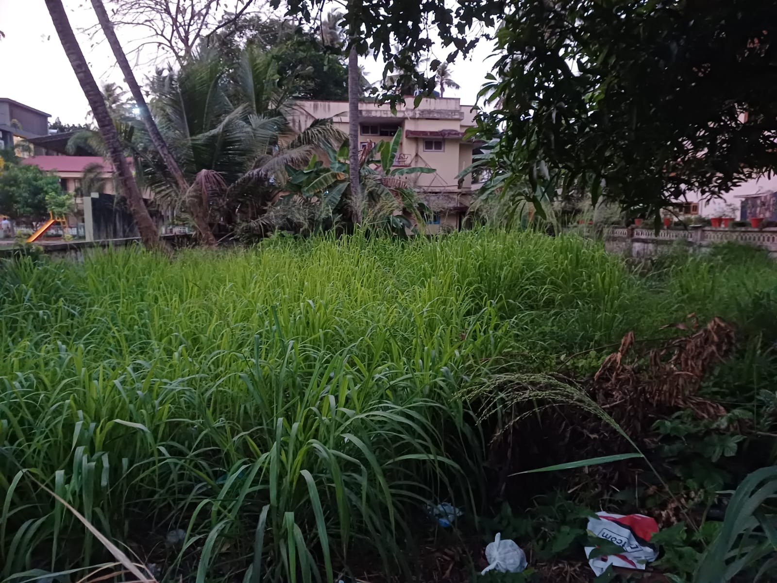 6.5cent of Residential Plot - for sale in Girinagar, Kochi ( Ernakulam ), Kerala