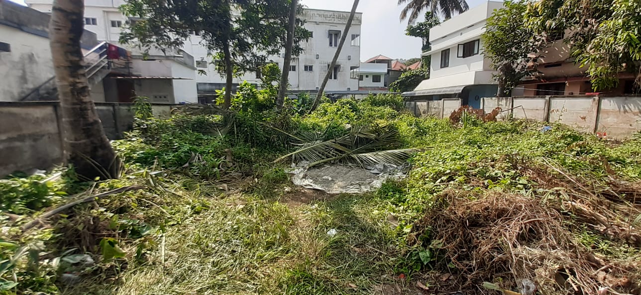 3 Acres of Land with Old House - for sale in Ottappalam Palakkad, Palakkad, Kerala