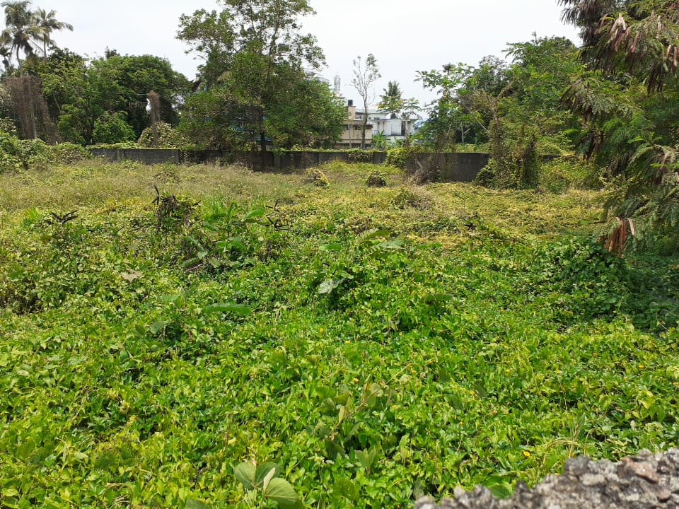 7 Cents of Land