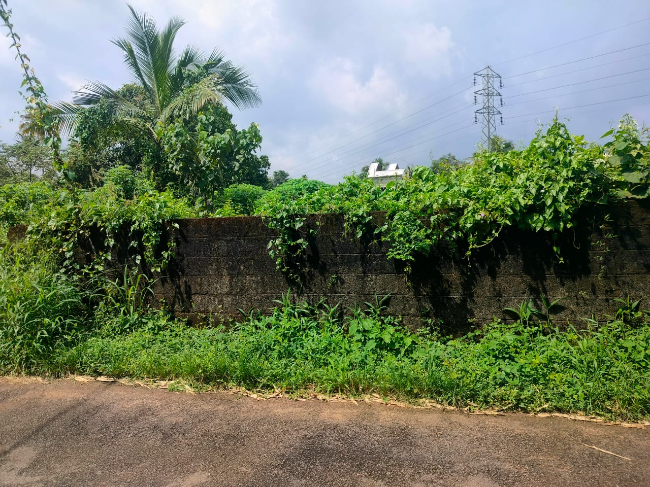 8.600cent of Residential Plot
