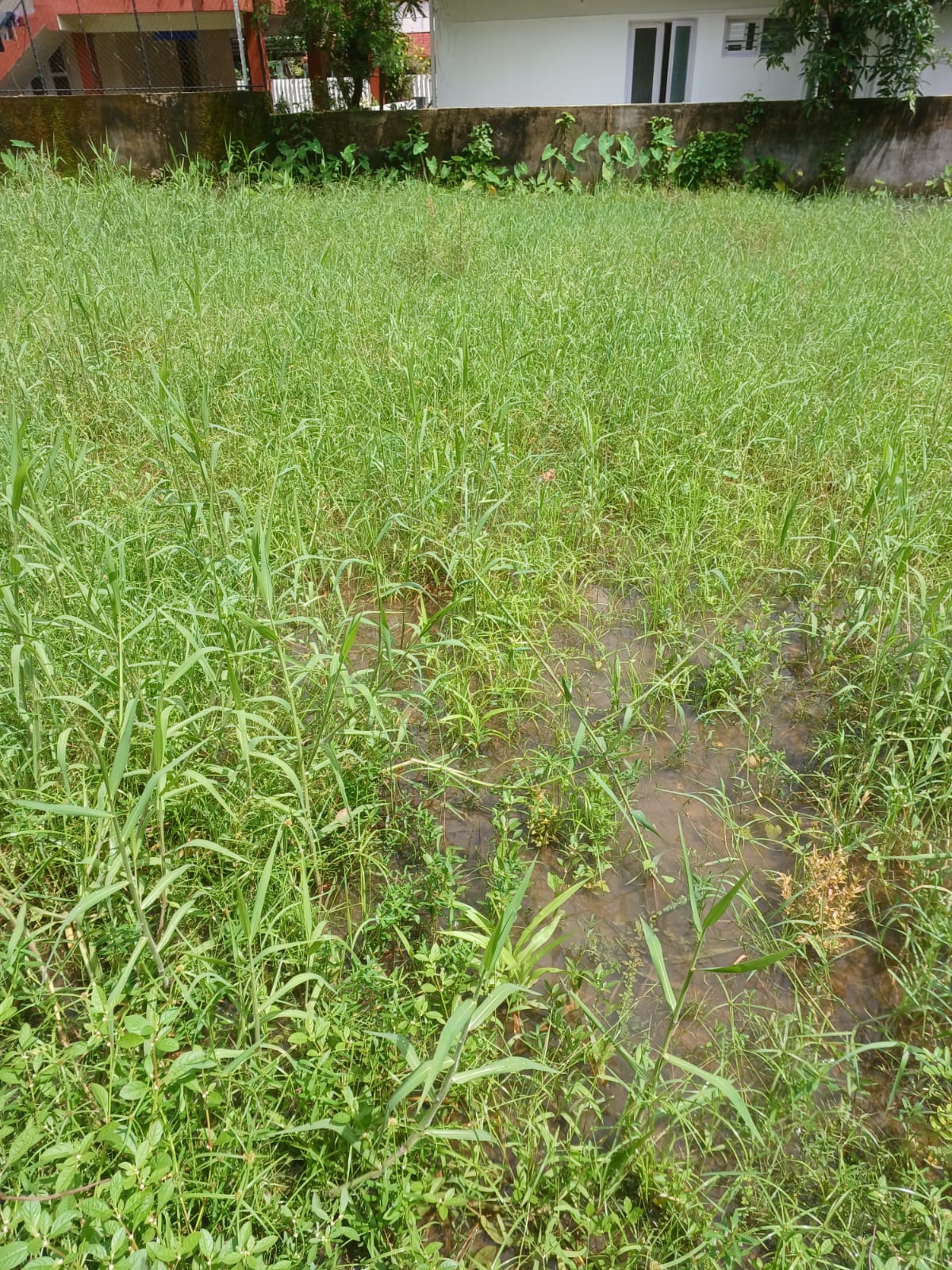 9.5 cents of Residential Land