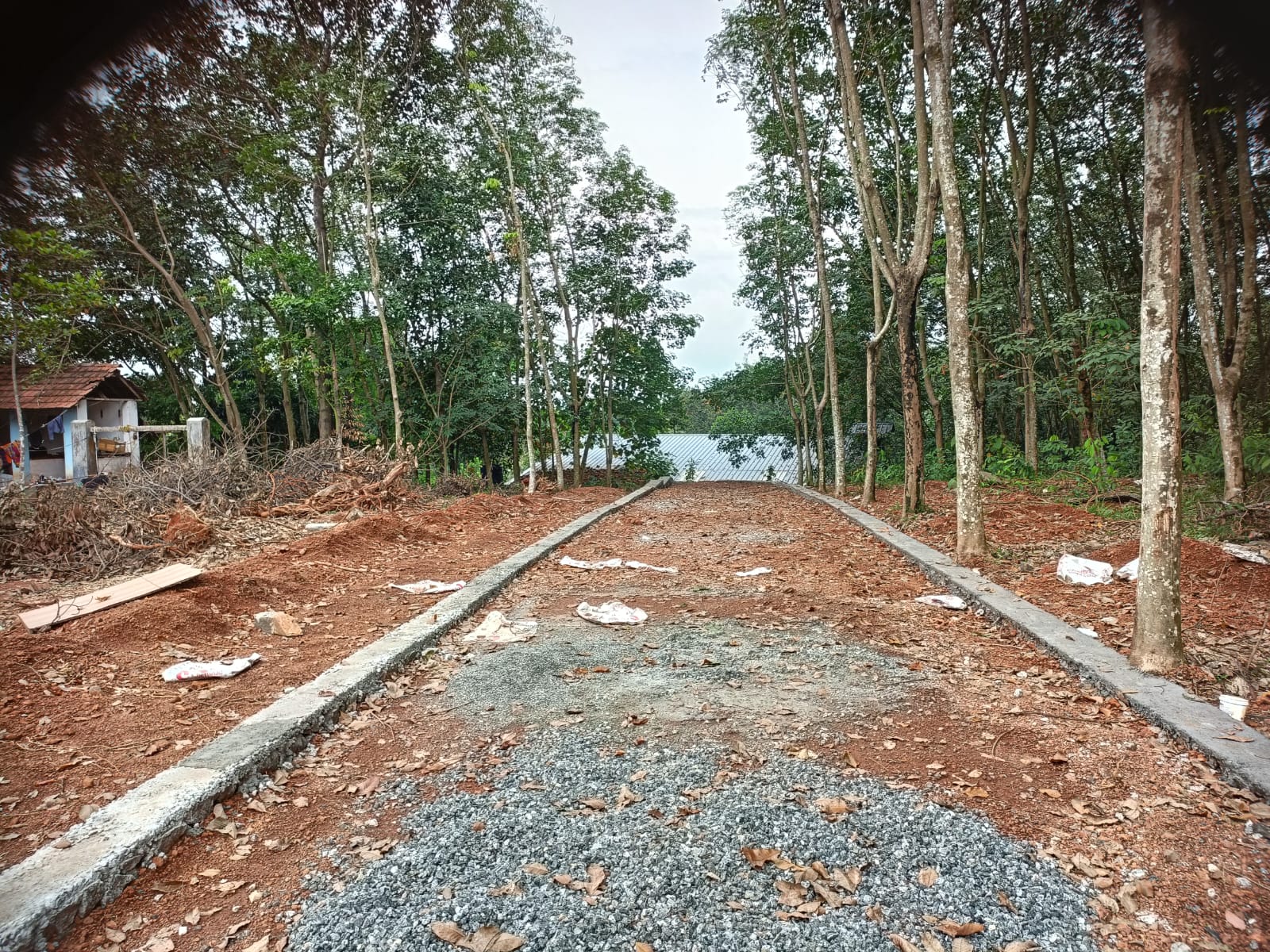 10.50cents of Residential Plot in Edachira, Kakkanad