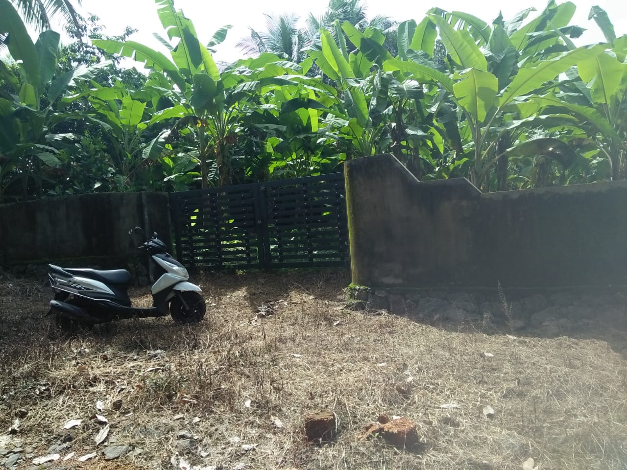 10 Cents of Land - for sale in Thamarachal, Kochi ( Ernakulam ), Kerala