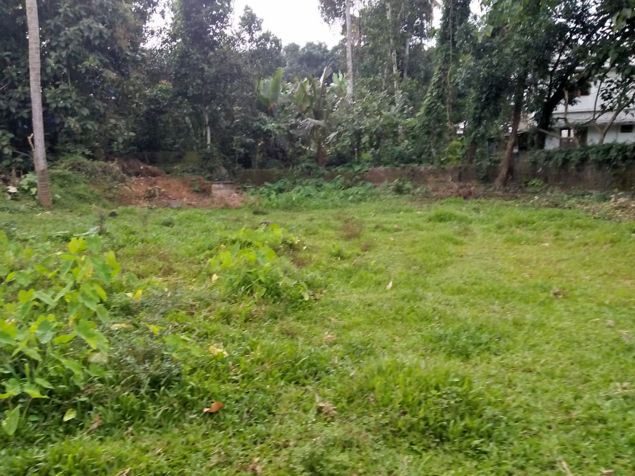 4BHK Fully Furnished House 2650 sqft  near Infopark, Kakkanad.